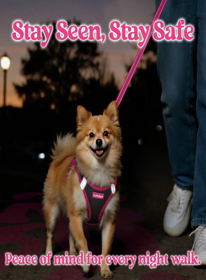 رابيتجو طقم سرج ومقود للكلاب من رابيت جو، صغير الحجم، سهل الارتداء وجيد التهوية، سترة ناعمة عاكسة للضوء للجراء الصغيرة، أسود ووردي، صغير - Image 5